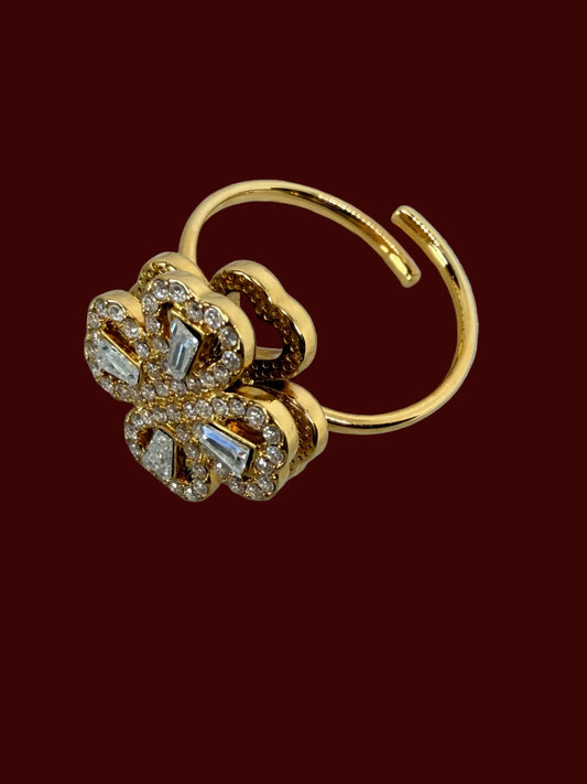Spinning Ring