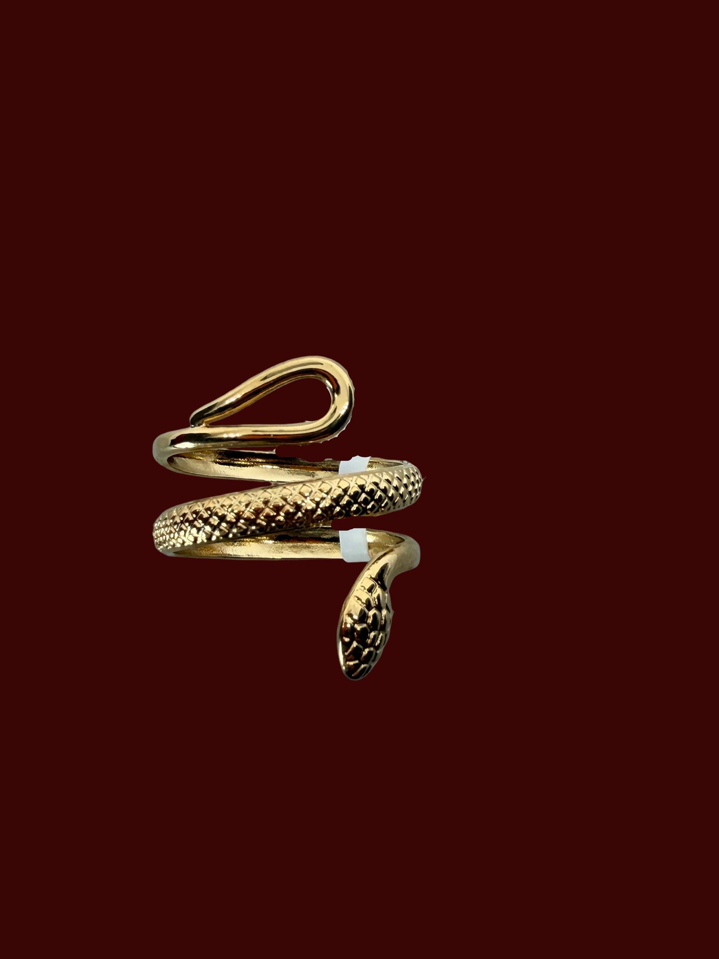 Long Snake
